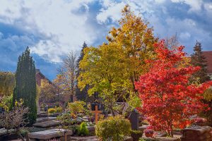 friedhof mit herbstlich gefärbten bäumen