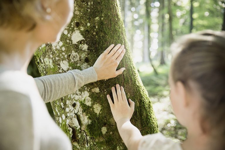 paxnatura österreich 1