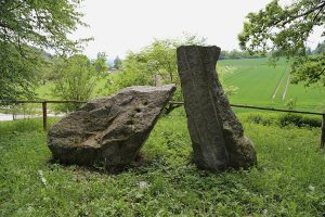 Trauerwald Bayerisch Eisenstein