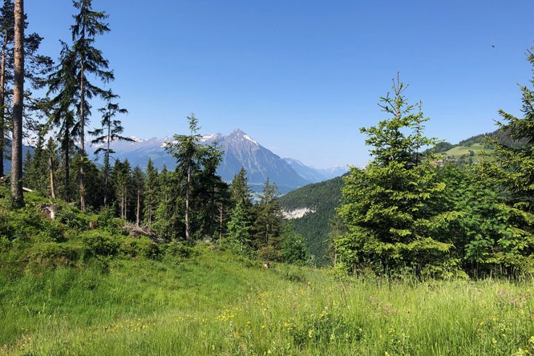 landschaft oase der ewigkeit schweiz