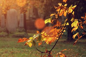 Herbststimmung auf einem Friedhof
