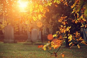 herbst impression friedhof