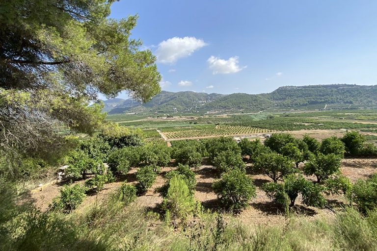 naturfriedhof ad naturam spanien impression