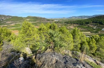 900x600px_Friedhof-Spanien-104