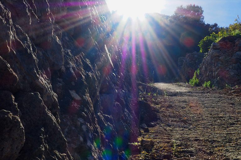 naturfriedhof ad naturam spanien impression