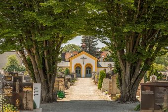 friedhof neustift freising impression