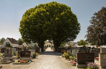 KAD_Friedhof_Neustift_N3A2702_900x600px