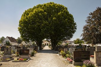 friedhof neustift freising impression