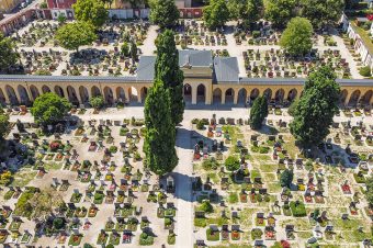 friedhof st georg perspektive