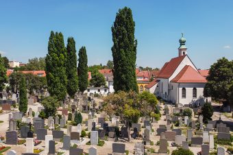 friedhof st georg perspektive