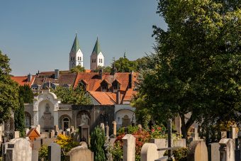 friedhof st georg perspektive