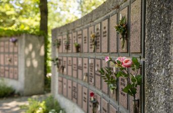 KAD_Waldfriedhof_Freising_N3A2608_900x600px