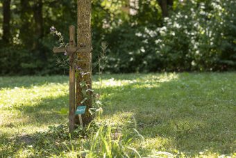 waldfriedhof freising gräber
