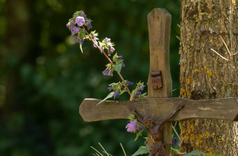 KAD_Friedhof_Platzhalter08_900x600px